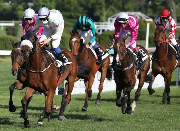 preakness stakes odds, 2026 preakness contenders, horse racing odds 2026, preakness favorites 2026, morris park horse race odds, long shot preakness, live preakness betting tips, kentucky derby prep horses, classic horse race predictions, baltimore horse racing events